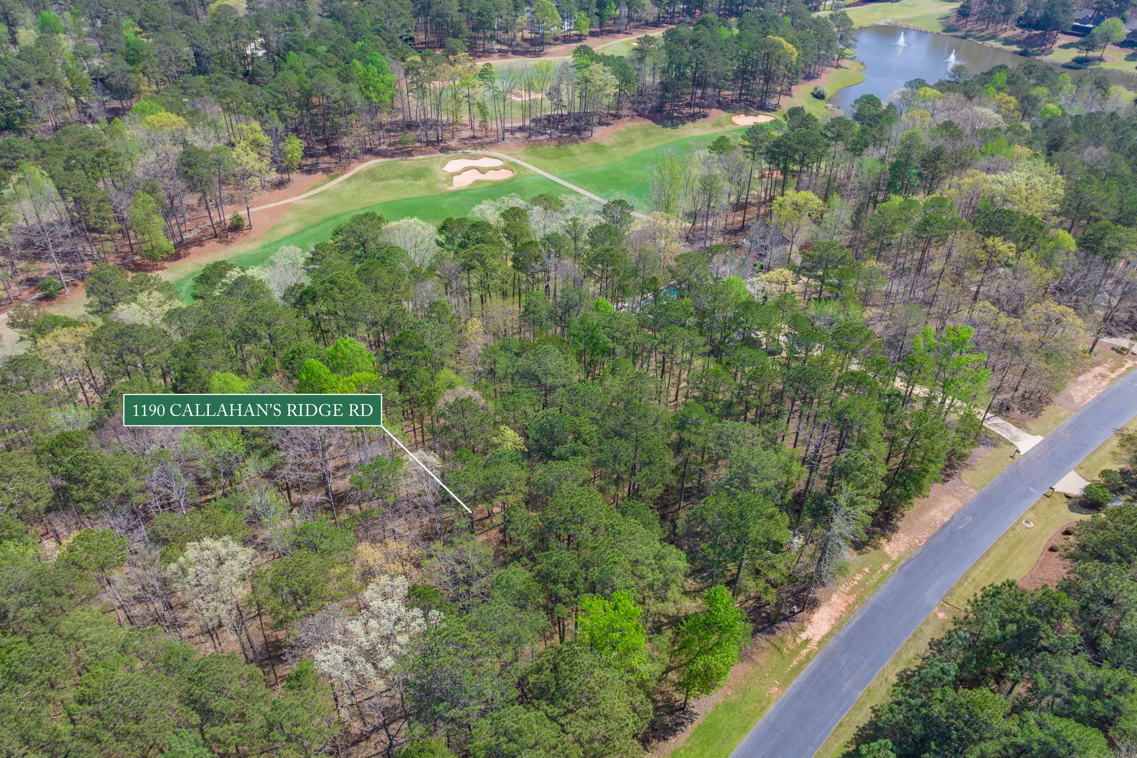 1190 Callahan's Ridge Road image 19